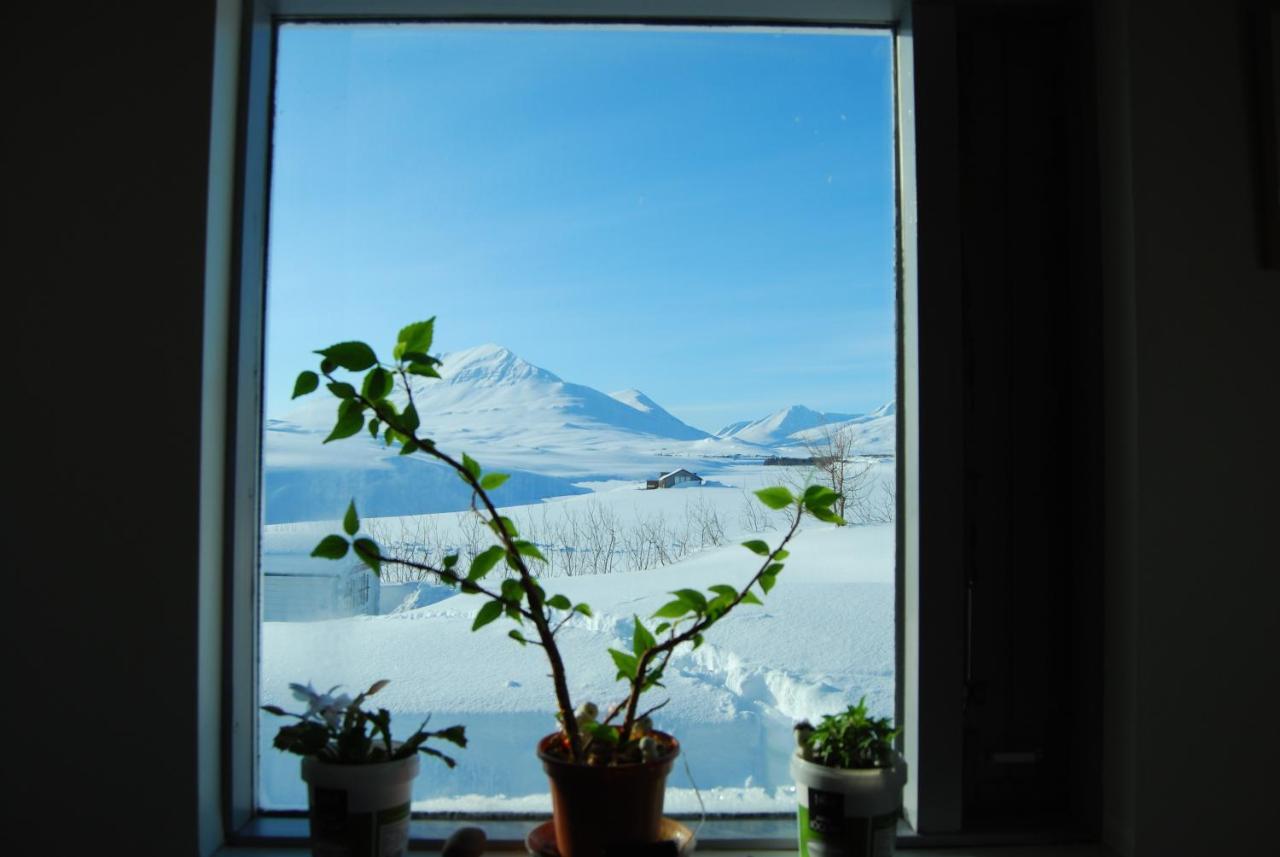 L&L Bnb - Stay'In Arbakki Arskogssandur Экстерьер фото